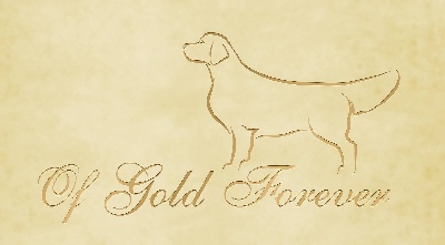 Of Gold Forever